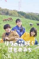 丁香花在线观看免费播放第4集